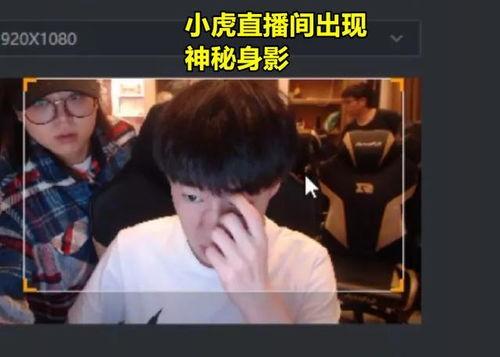 朋哥爆料视频完整版下载,揭秘幕后真相，带你走进事件全貌  第1张