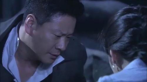 电视剧双雄在线观看,在线揭秘兄弟情深与江湖恩怨  第1张